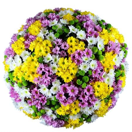 Bouquet Basket of chysanthemums (101 pcs.)