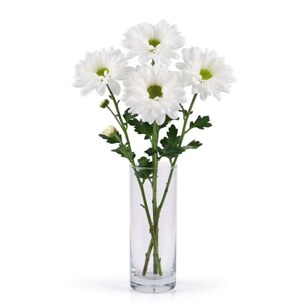 Bouquet White chrysanthemums by the piece (spray)