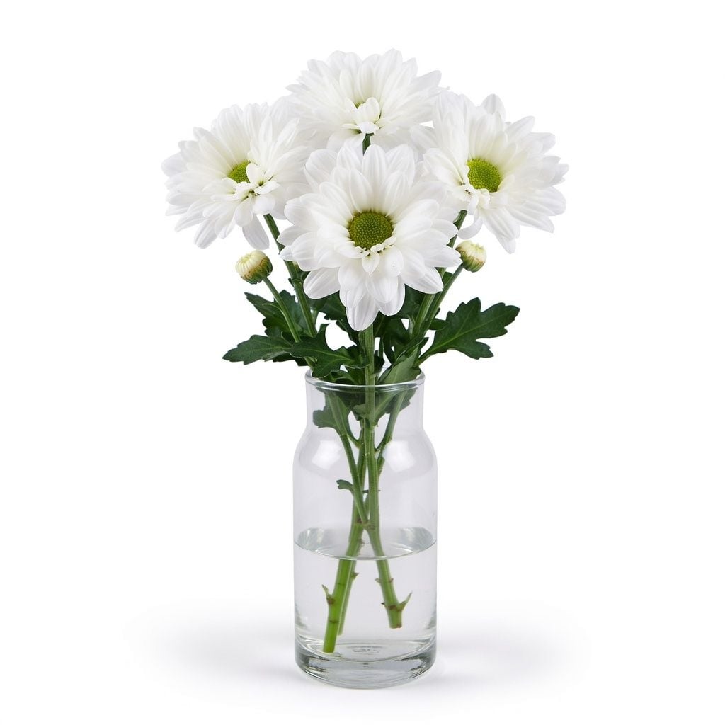 Bouquet White chrysanthemums by the piece (spray)
