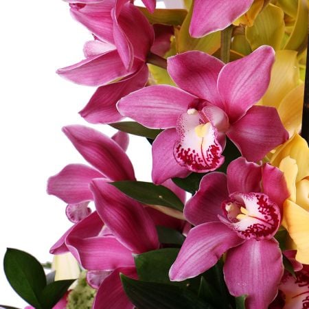 Bouquet Orchid dance