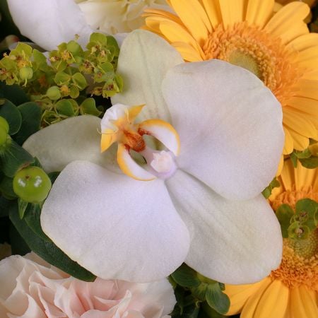 Order delicate flowers ''Soft gold'' with delivery to any city