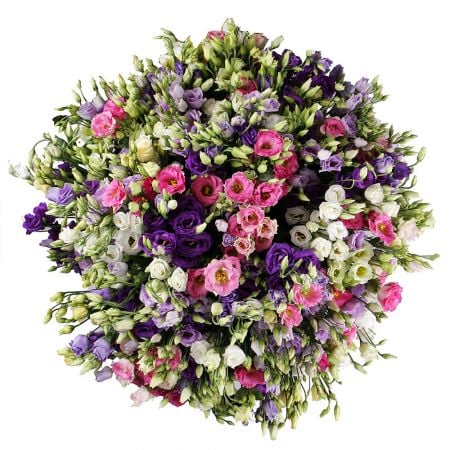 Bouquet 101 multicolored eustoma