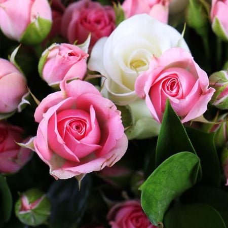 Bouquet Rose grace