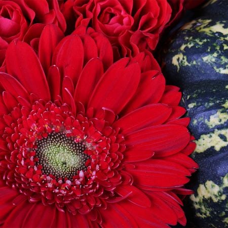 Arrangement ''With pumpkin in red tones'' with delivery