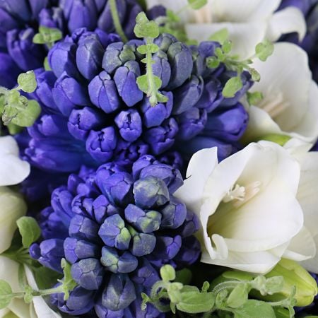 Bouquet Lilac shake