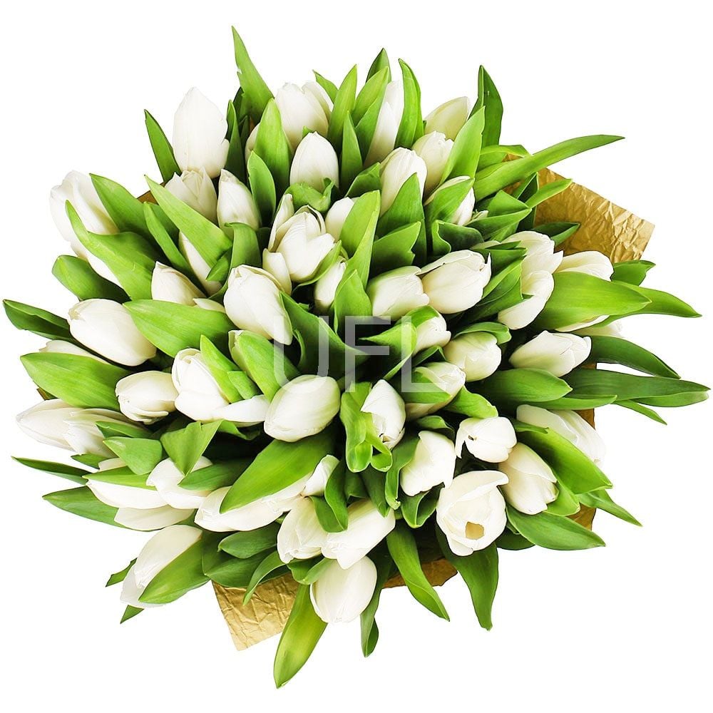 Bouquet 51 white tulips