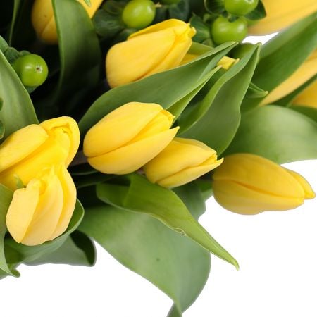 Bouquet Yellow tulips 51