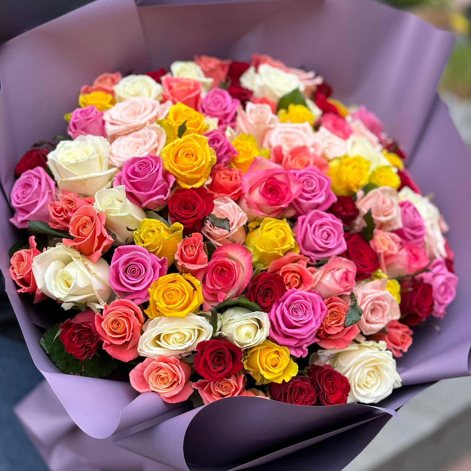 rose (101 pcs.), packaging, ribbon