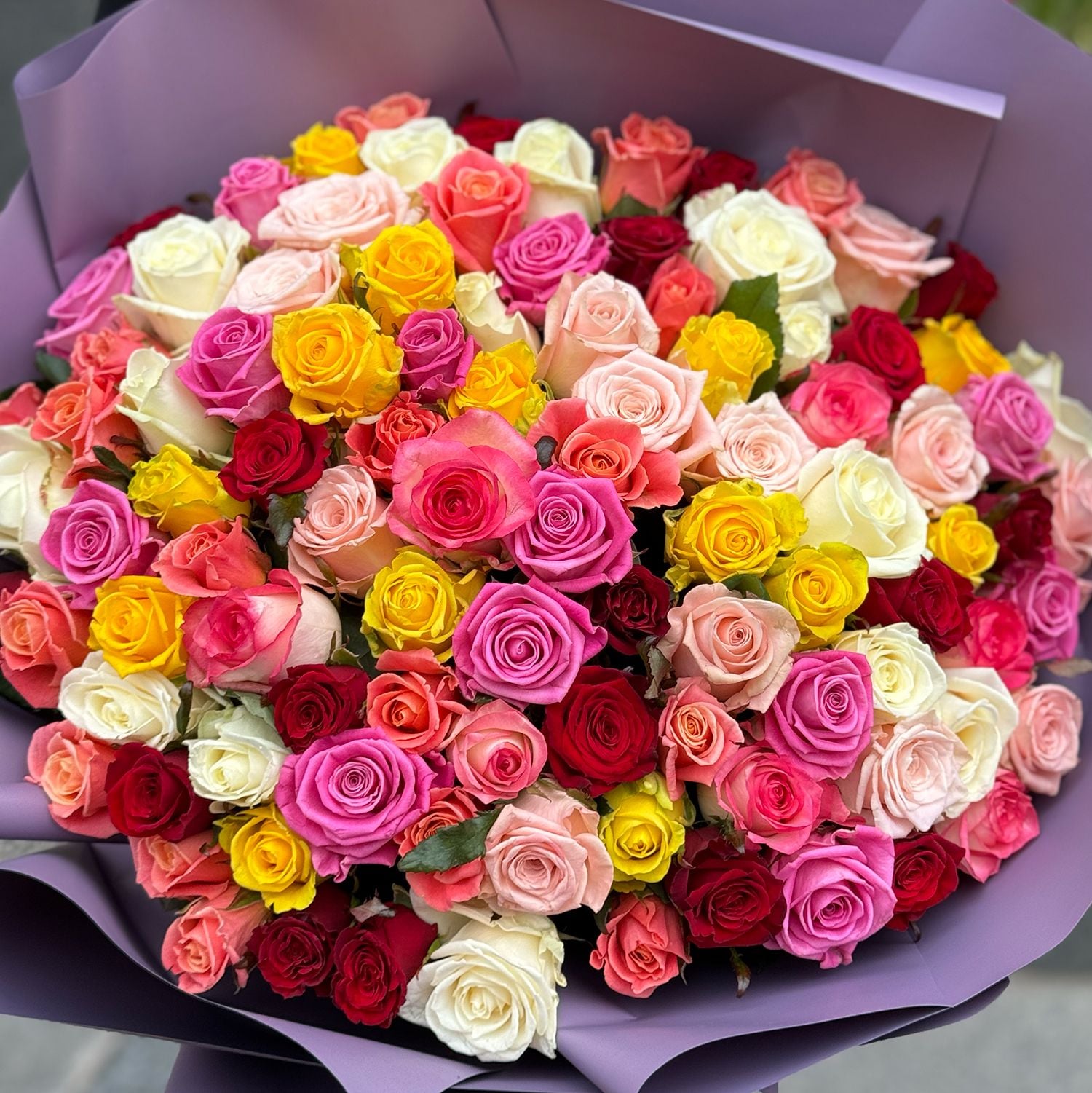 rose (101 pcs.), packaging, ribbon