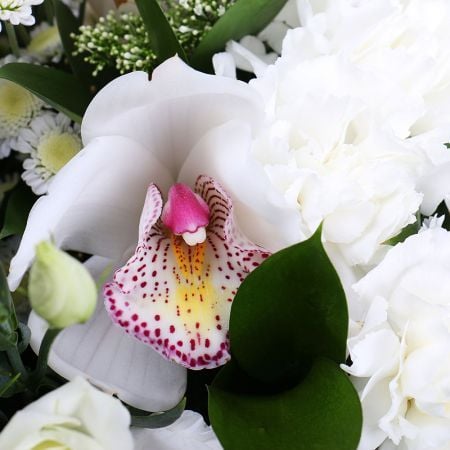 carnation, chrysanthemum, cymbidium, trachelium, eustoma, packaging, ribbon