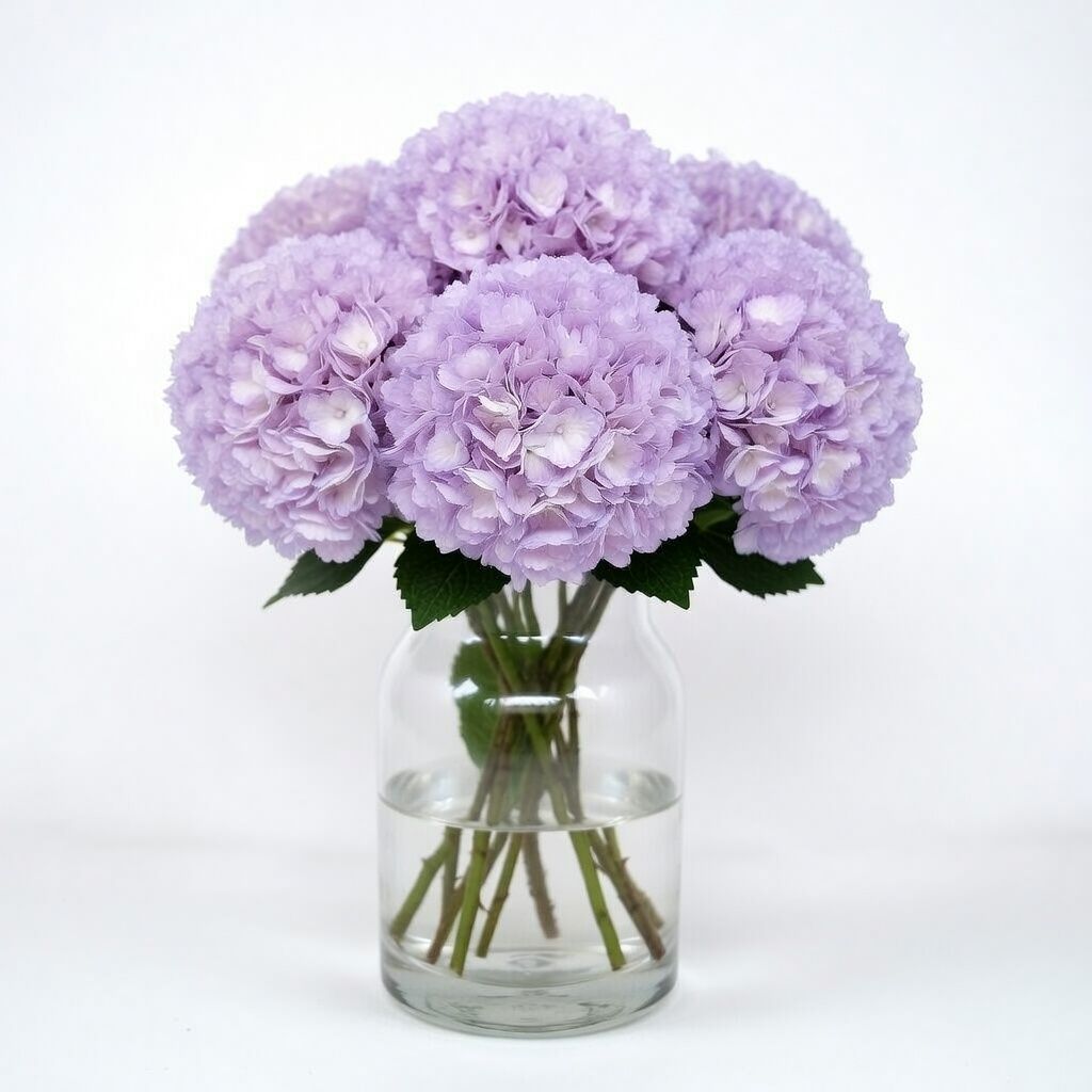 Bouquet Hydrangea purple piece