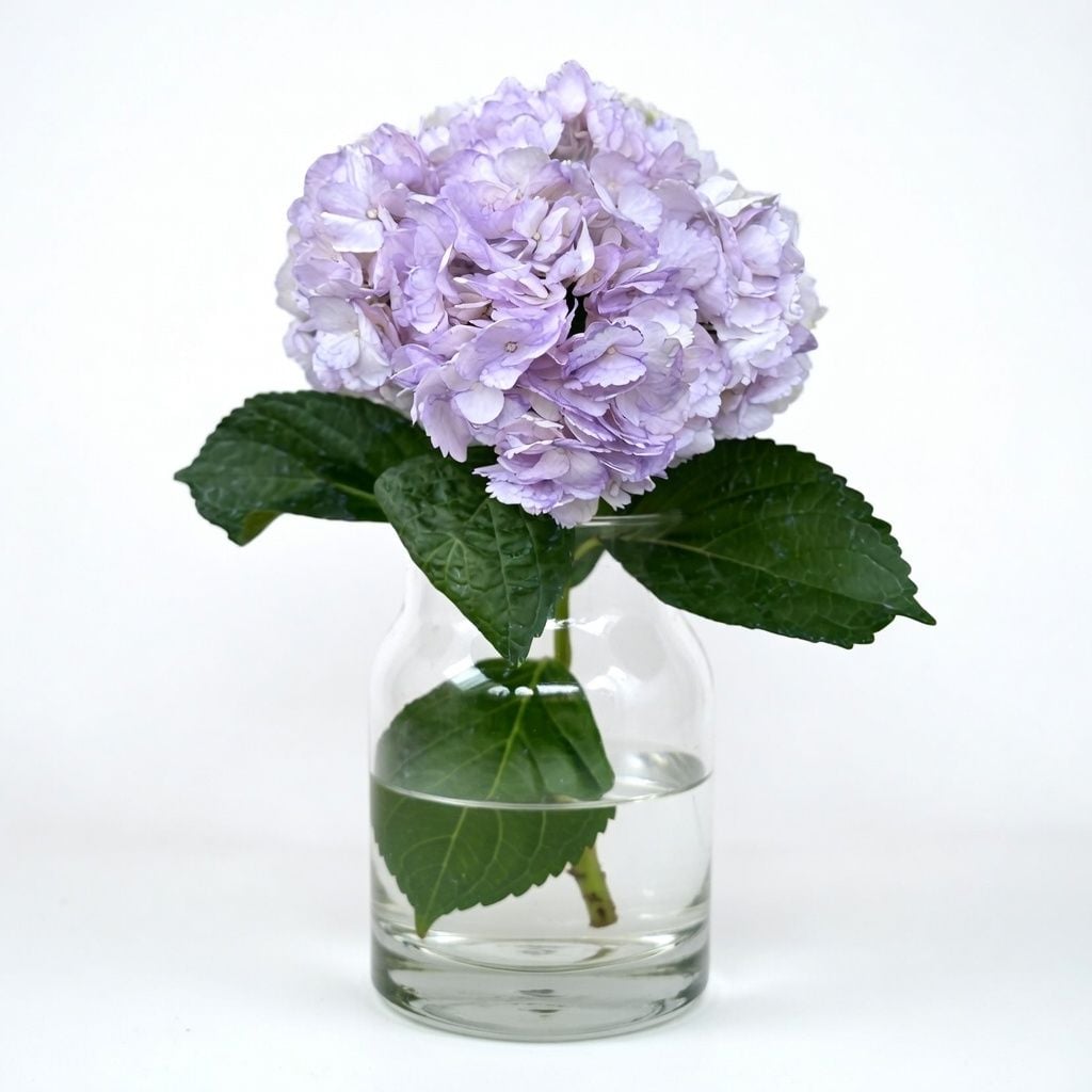 Bouquet Hydrangea purple piece