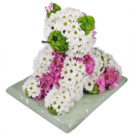 Bouquet Flower cat