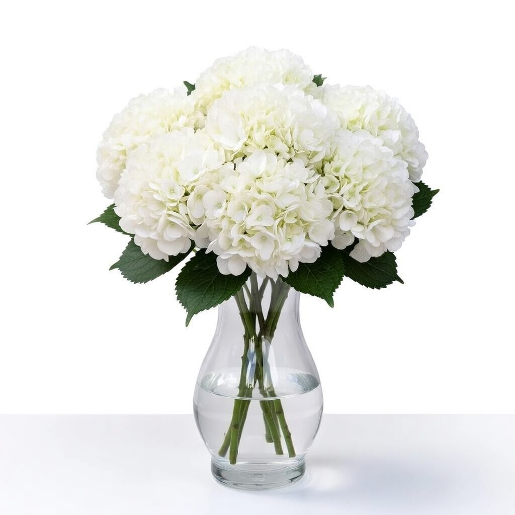 Buy white hydrangea apiece with delivery throughout the world