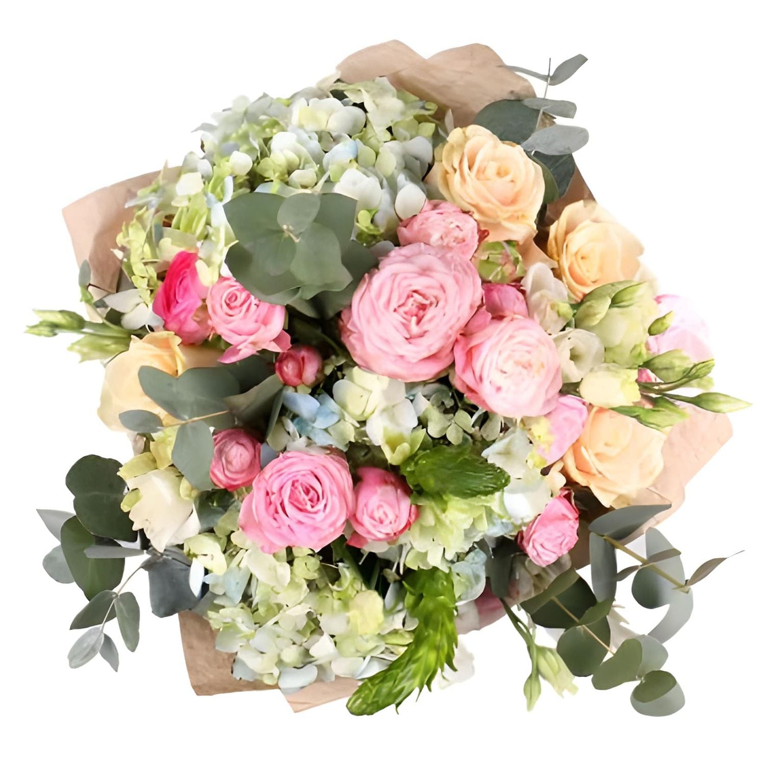 hydrangea, ornithogalum, white eustoma, eucalyptus, pink spray roses (4 pcs.), cream rose, packaging, ribbon