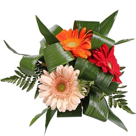Bouquet Flower grace (wholesale)