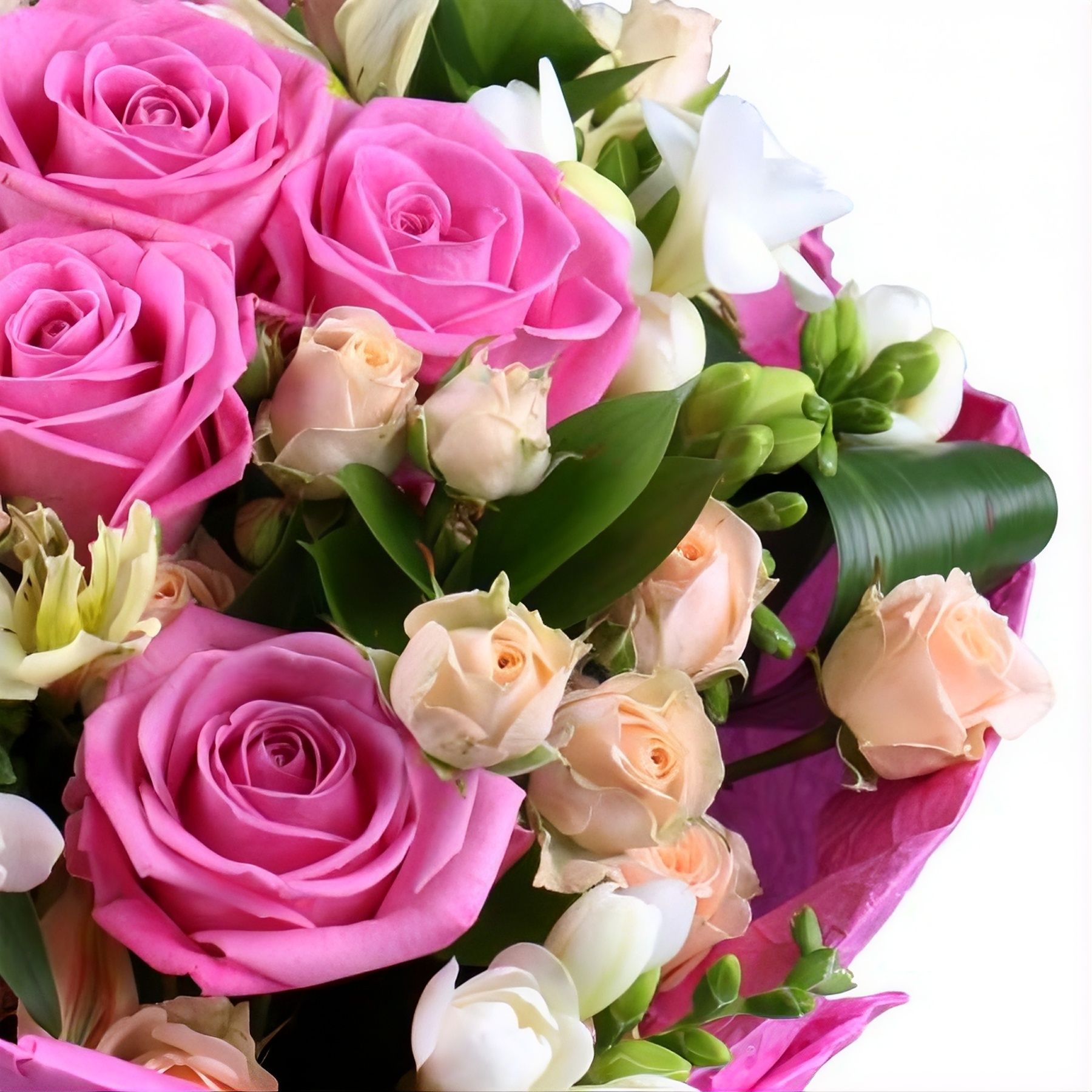 pink rose (11 pcs.), white freesia, white alstroemeria, cream spray rose, packaging, ribbon