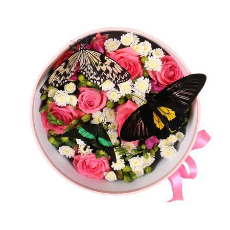 Box with butterflies | order now on UFL