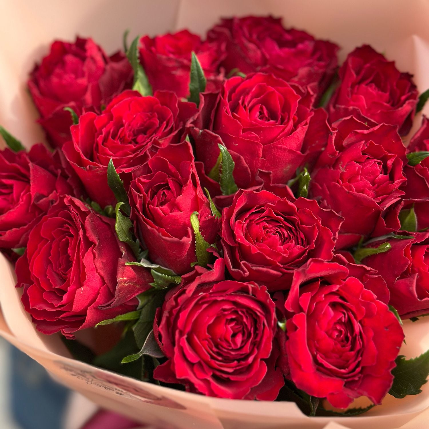 rose (15 pcs.), packaging, ribbon