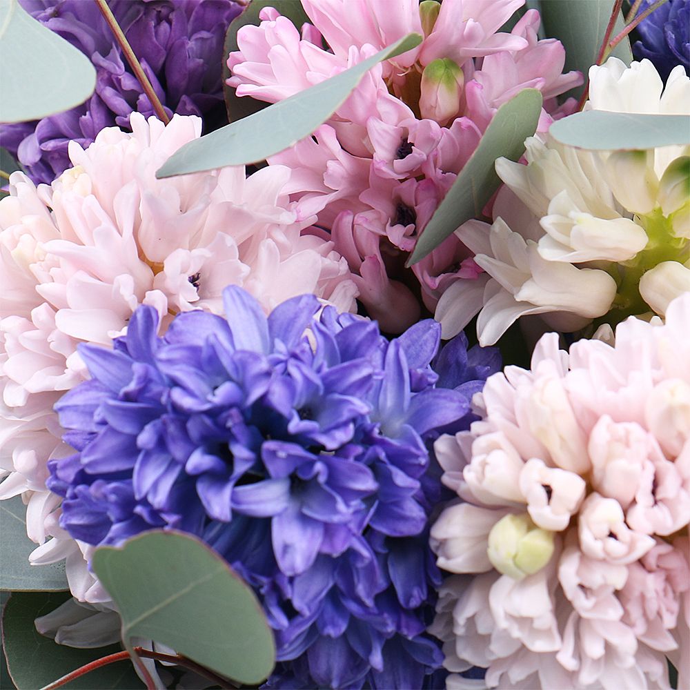 Bouquet 9 hyacinths