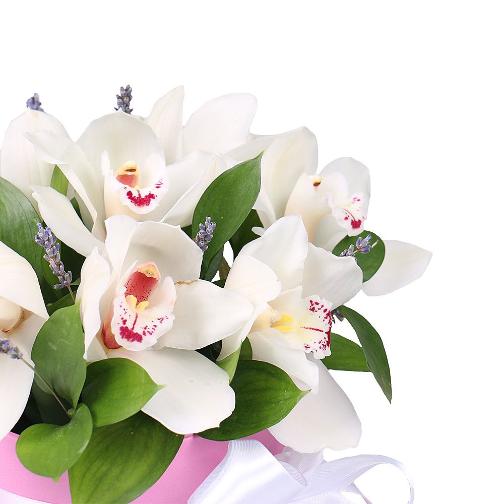 Bouquet Tenderness of orchids