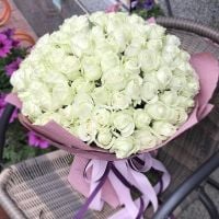 white rose (101 pcs.), packaging, ribbon