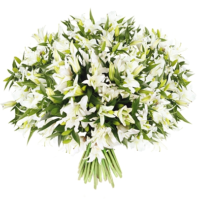 lily (25 pcs.), packaging, ribbon