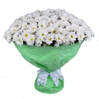 Beautiful 'Big bouquet of chrysanthemums' to buy with delivery