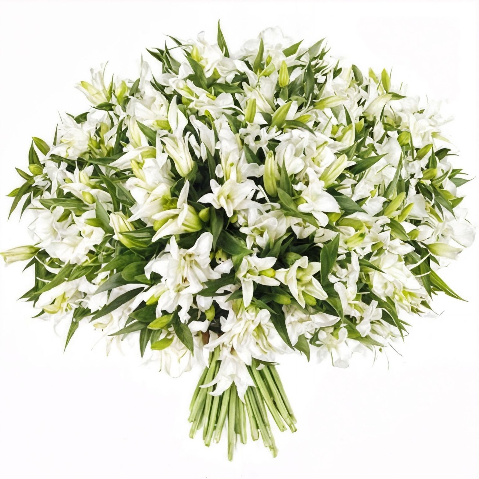lily (25 pcs.), packaging, ribbon