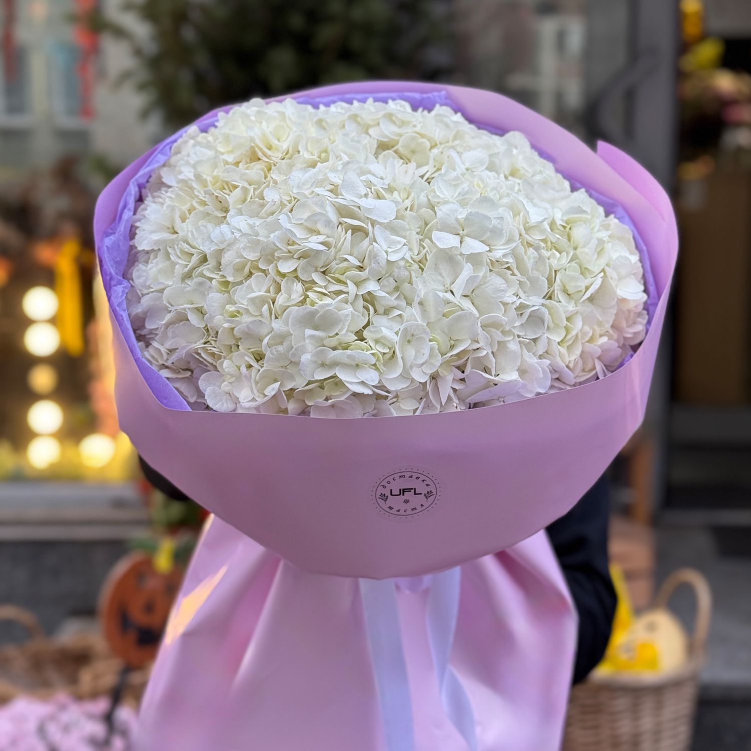 Bouquet Bouquet of white hydrangeas