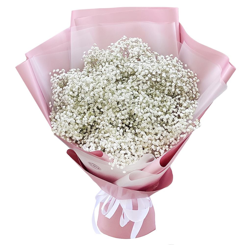 Pinky Baby Breath Bouquet