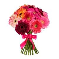 gerbera (21 pcs.), packaging, ribbon
