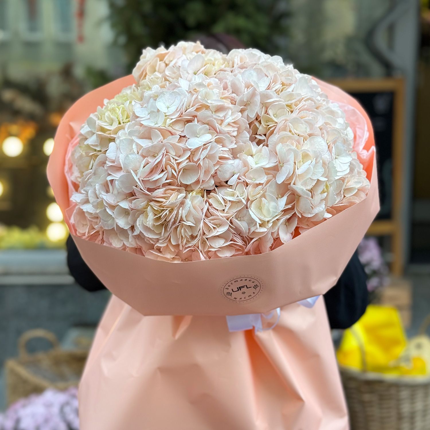 Bouquet Bouquet of pink hydrangeas