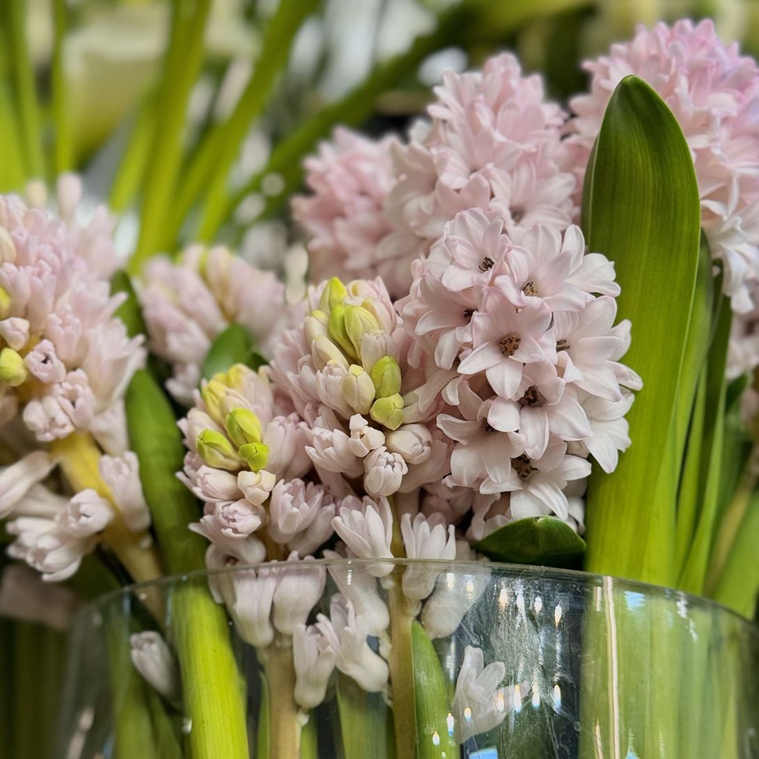 Bouquet Hyacinth pink by piece