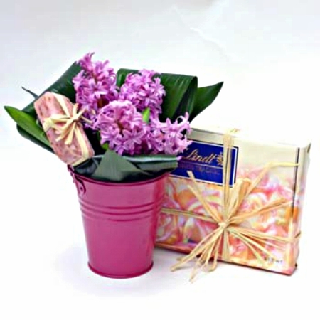Bouquet Hyacinths + hocolates