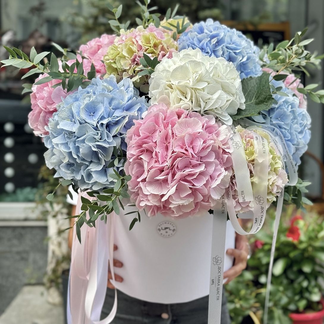 Bouquet Hydrangea mix in a box XXL