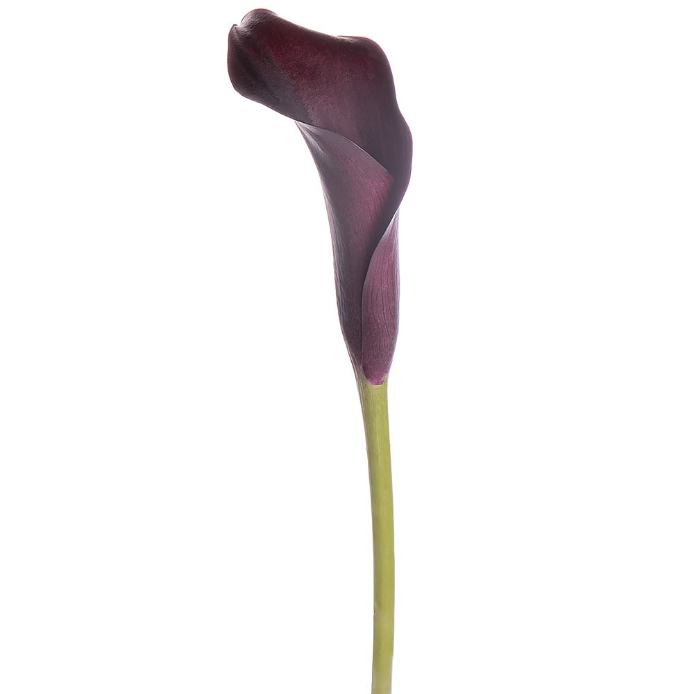 Bouquet Piece purple calla