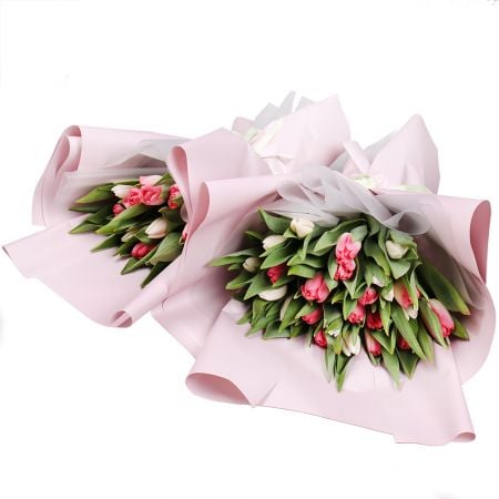 Bouquet Tulips set for Women's Day