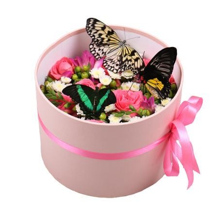 Box with butterflies | order now on UFL