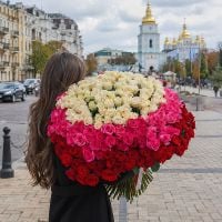 cream rose (101 pcs.), packaging, ribbon