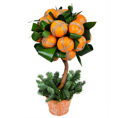 Product Tangerine tree