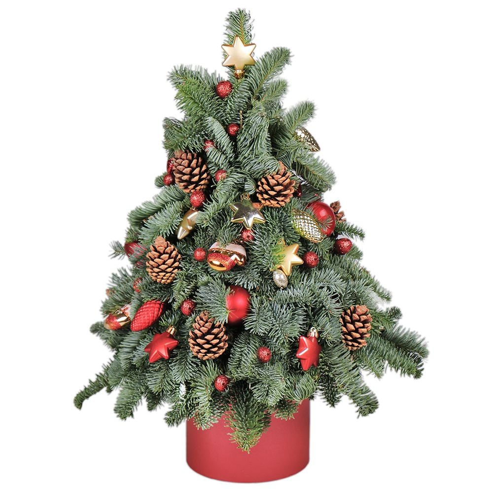 Order a bouquet «Christmas tree in a box» with delivery