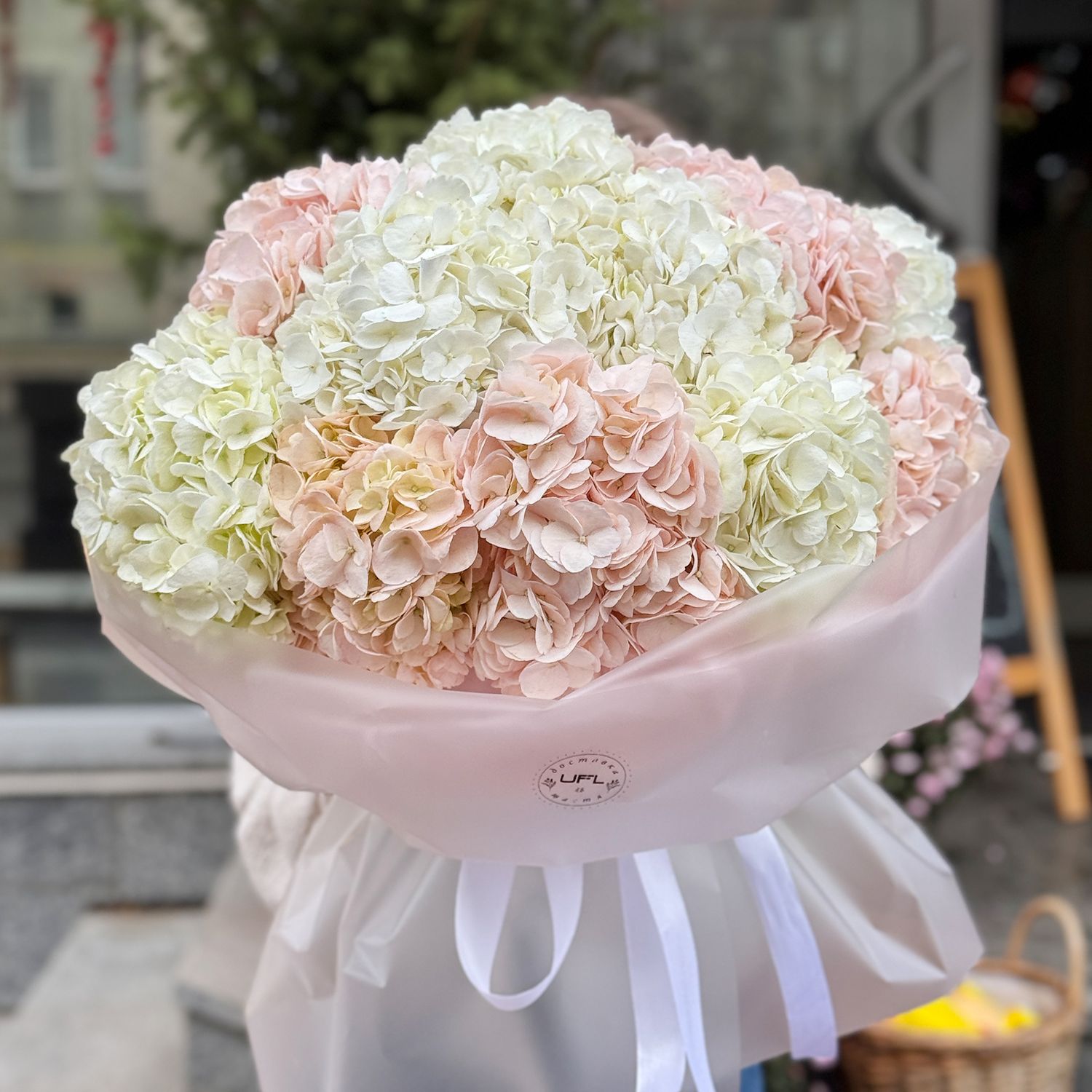 Bouquet Tender cloud of hydrangeas