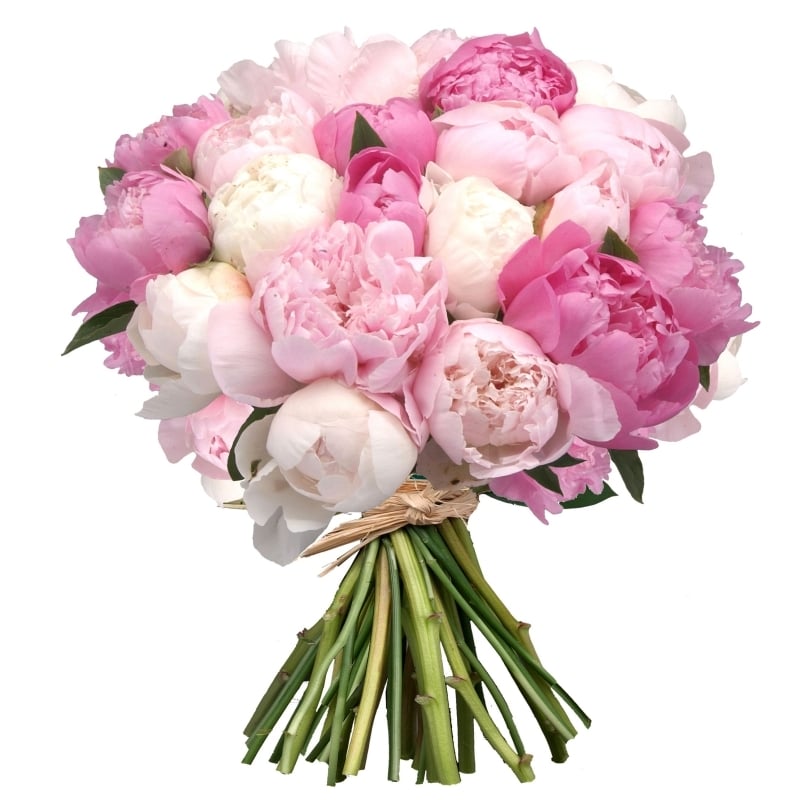Order a bouquet «Mixed peonies» with delivery