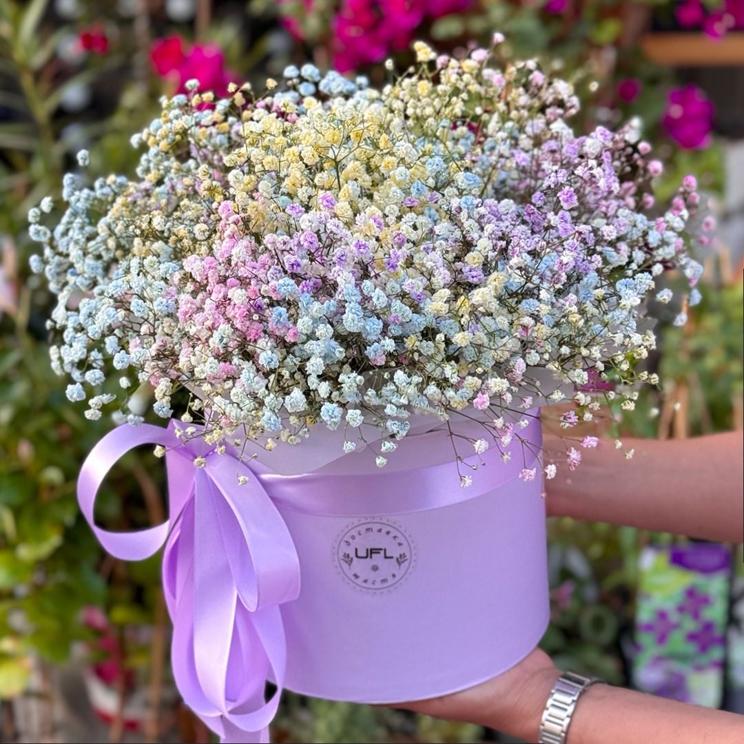 Bouquet Rainbow flower babys-breath in box