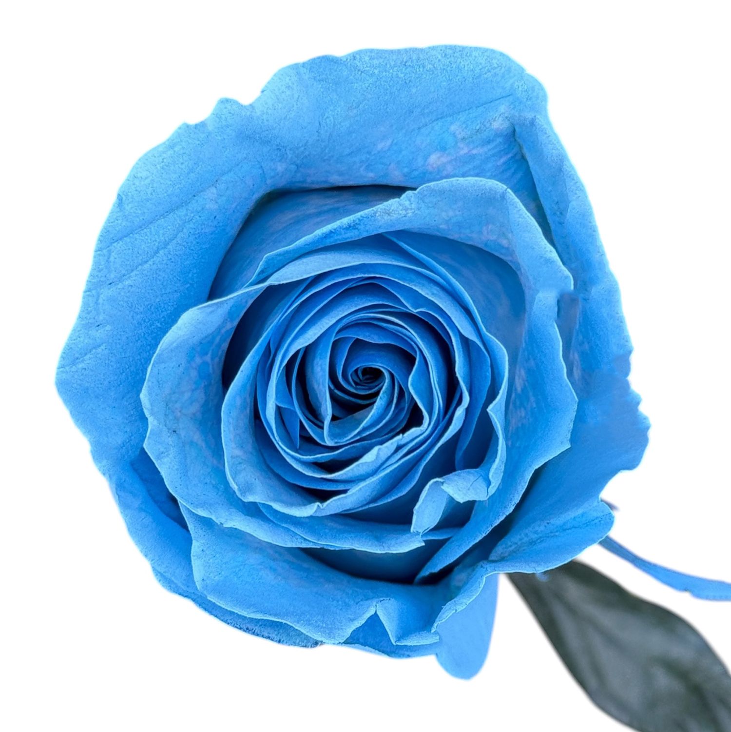 Bouquet Blue rose by piece