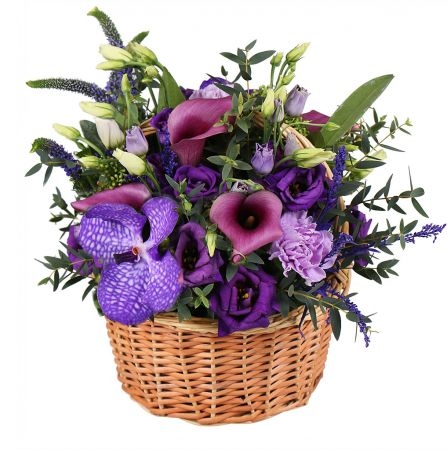 Bouquet Plum present