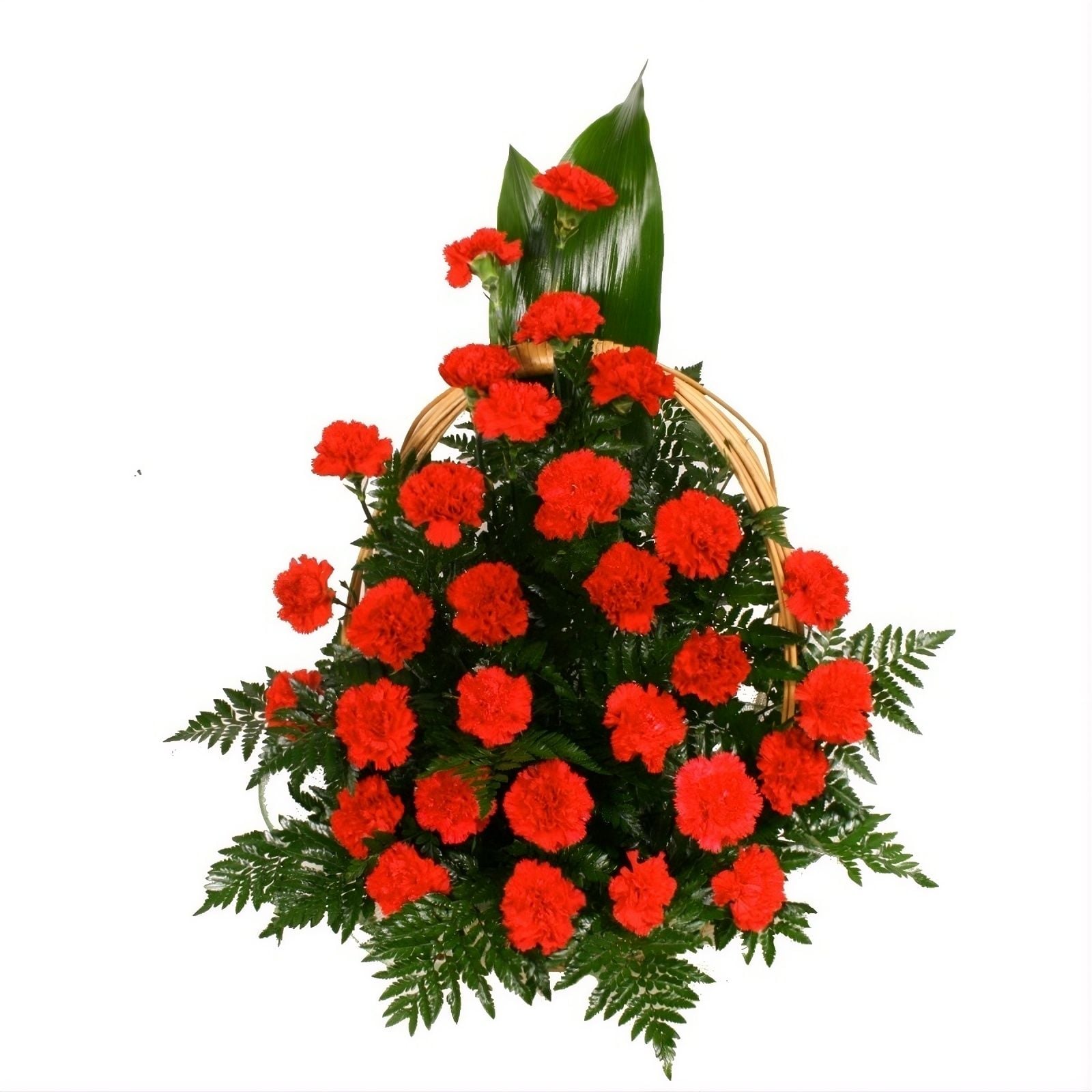carnation (25 pcs.), basket, oasis, packaging, ribbon