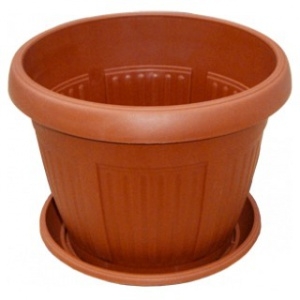 Order a pot with stand (16 cm) with delivery