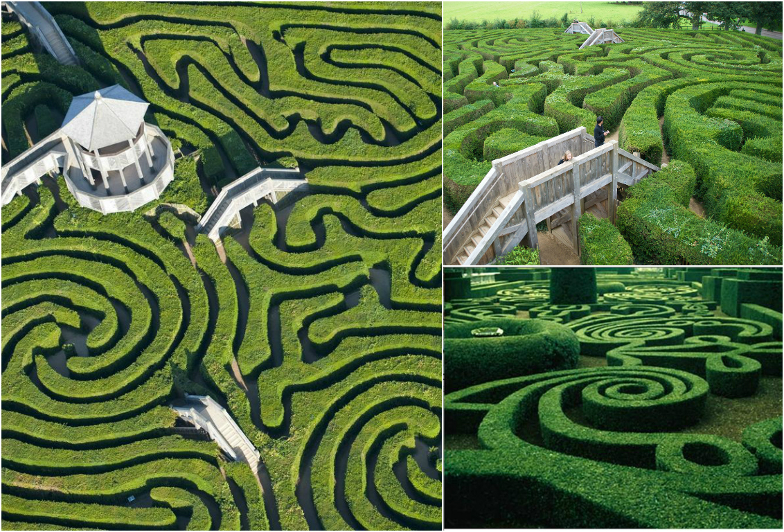 Longleat maze